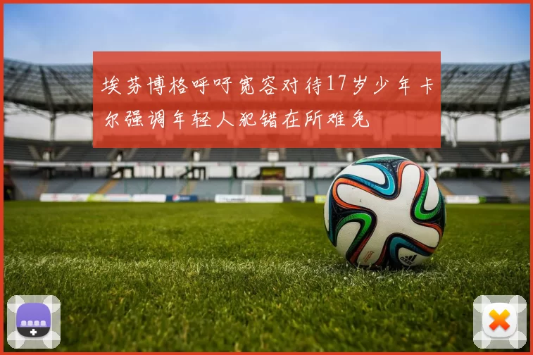 埃芬博格呼吁宽容对待17岁少年卡尔强调年轻人犯错在所难免